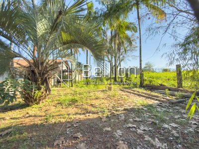 Terreno, 557 m² - Foto 5