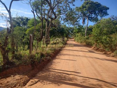 Terreno, 3 hectares - Foto 4