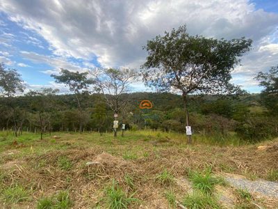 Terreno, 558 m² - Foto 3