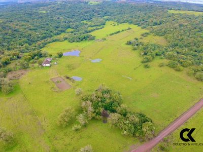 Sítio, 108 hectares - Foto 4