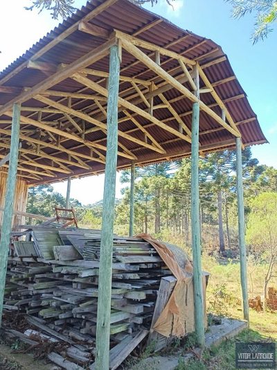 Fazenda, 4 hectares - Foto 5