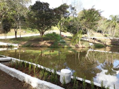 Sítio, 1 quarto, 3 hectares - Foto 4