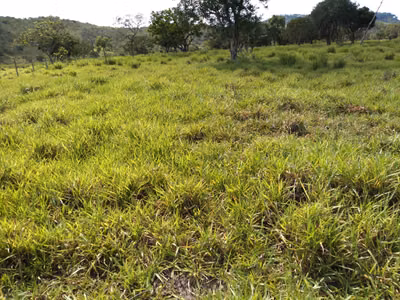 Fazenda, 110 m² - Foto 1