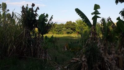 Terreno, 1550 m² - Foto 1