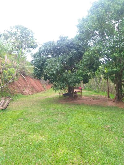 Chácara, 2 quartos, 6000 m² - Foto 4