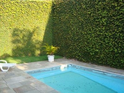 Casa, 4 quartos, 320 m² - Foto 5