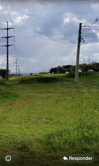 Terreno, 40 hectares - Foto 2