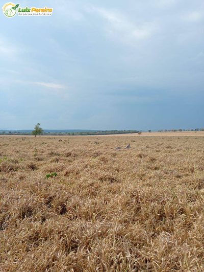 Terreno, 1020 m² - Foto 5