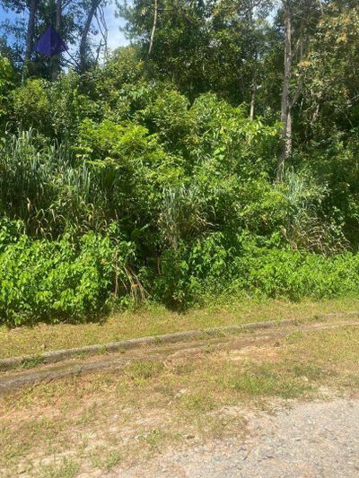 Terreno, 500 m² - Foto 3