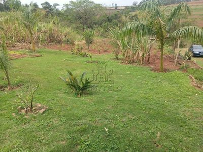 Chácara, 4000 m² - Foto 3