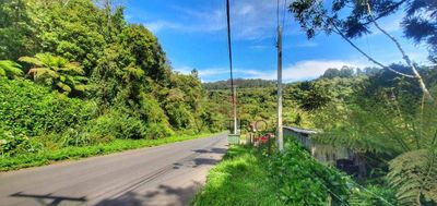 Terreno, 870 m² - Foto 4