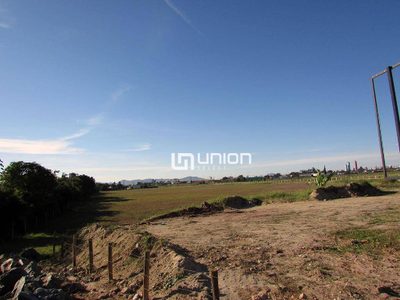 Terreno, 54 hectares - Foto 3