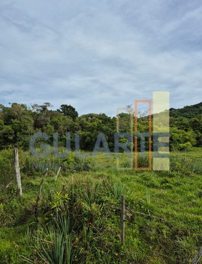 Terreno, 10 hectares - Foto 3