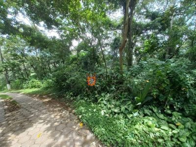 Terreno, 3701 m² - Foto 2