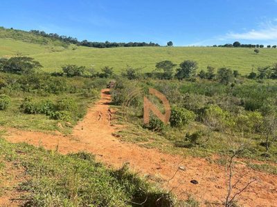 Terreno, 2 hectares - Foto 1