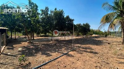 Casa, 3 quartos, 8000 m² - Foto 4