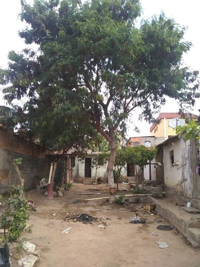 Terreno, 360 m² - Foto 5