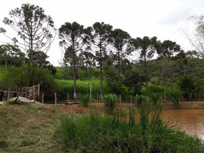 Sítio, 2 quartos, 150 m² - Foto 2