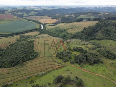Sítio, 2 quartos, 1210000 m² - Foto 4