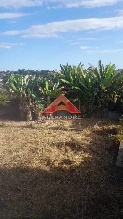 Terreno, 1960 m² - Foto 5
