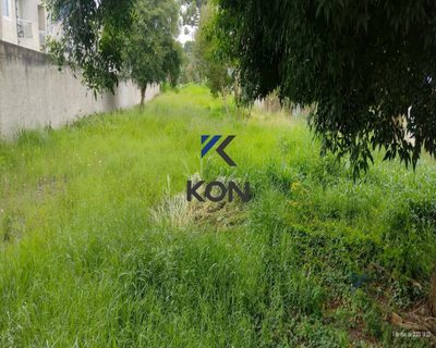 Terreno, 2572 m² - Foto 4