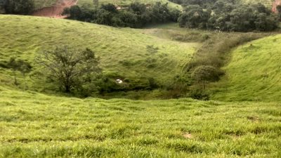 Chácara, 1 quarto - Foto 4