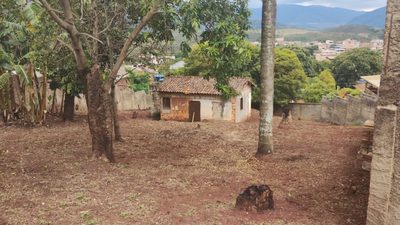 Terreno, 1000 m² - Foto 4