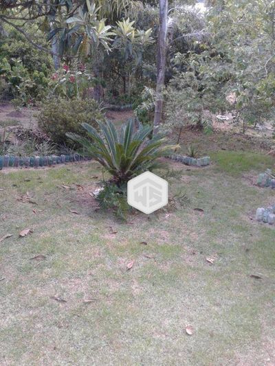 Chácara, 7500 m² - Foto 4