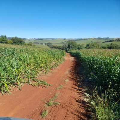 Fazenda, 30 quartos - Foto 3