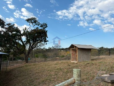 Sítio, 3 quartos, 20000 m² - Foto 4