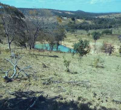 Fazenda, 723 hectares - Foto 1