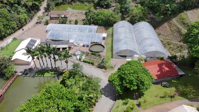 Sítio, 6 quartos, 8 hectares - Foto 1