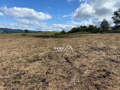 Fazenda, 327 hectares - Foto 3