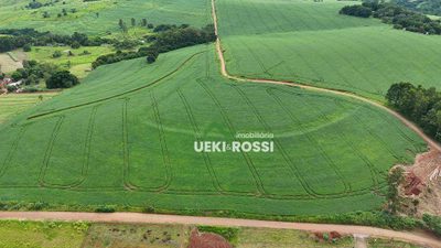 Fazenda, 126 hectares - Foto 1