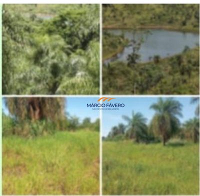 Fazenda, 1210 hectares - Foto 1