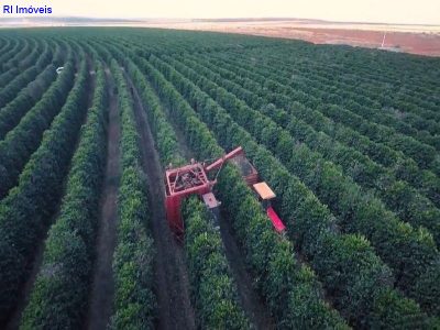Fazenda - Foto 2