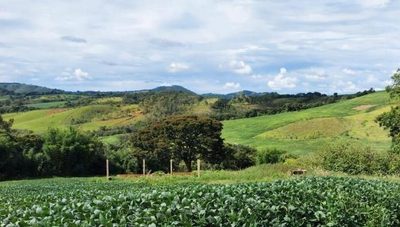 Fazenda, 264 m² - Foto 5