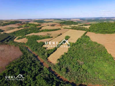 Sítio, 24 hectares - Foto 1
