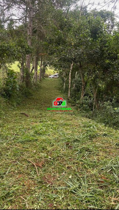 Terreno, 3 hectares - Foto 2