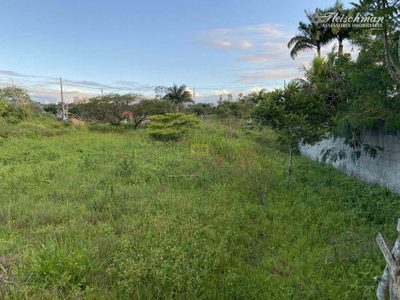 Terreno, 2000 m² - Foto 3