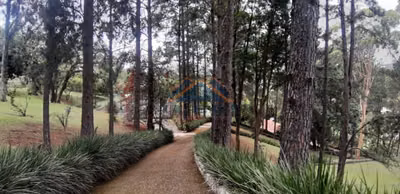 Chácara, 5 quartos, 1 hectares - Foto 3
