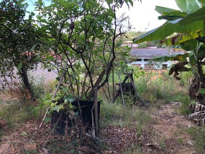 Terreno, 360 m² - Foto 2