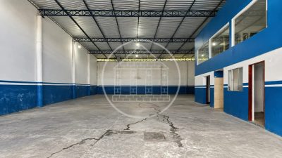 Depósito-Galpão, 300 m² - Foto 4