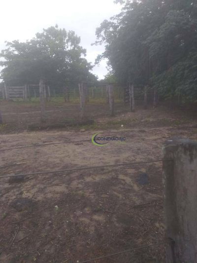 Fazenda, 2889 hectares - Foto 3