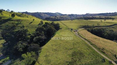 Fazenda, 387 hectares - Foto 2