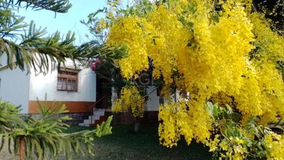 Sítio, 3 quartos, 4198 m² - Foto 5