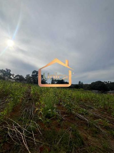 Terreno, 1 hectares - Foto 2