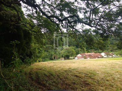 Terreno, 9000 m² - Foto 2