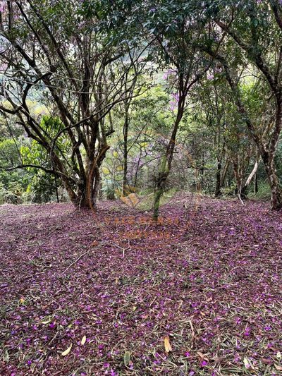 Terreno, 900 m² - Foto 3