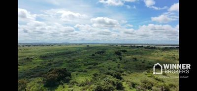 Fazenda, 2800 hectares - Foto 1